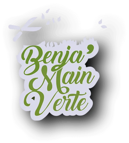 BENJA'MAIN VERTE PAYSAGE